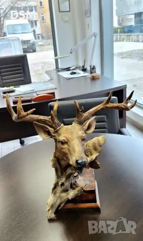 Нова Статуетка Елен Фигура Лос Трофей - 40см, снимка 3 - Статуетки - 31783544