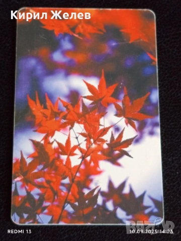 Четири фонокарти МОБИКА, БУЛ ФОН тема ЦВЕТЯ редки за КОЛЕКЦИЯ ДЕКОРАЦИЯ 50834, снимка 3 - Колекции - 51666432