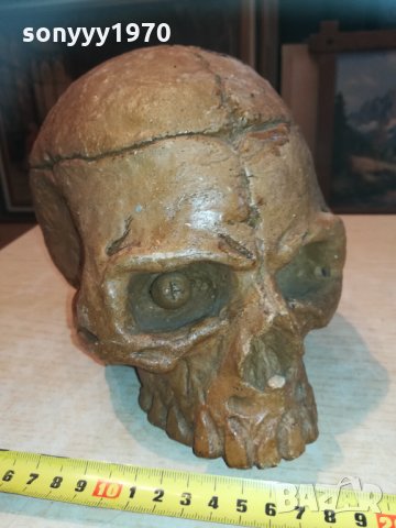 масивен череп 20см 1003210837, снимка 2 - Колекции - 32102510
