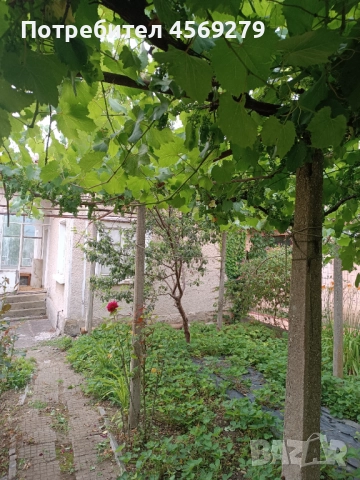  Къща в центъра на село Дърманци , снимка 6 - Къщи - 51975902