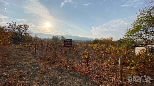 Парцел 5.569 дка