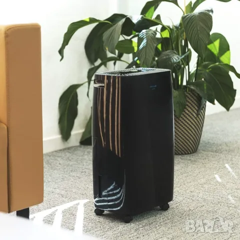 Влагоуловител Cecotec Big Dry 4000 Expert, 10 л/ден