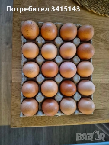 Био яйца от свободни кокошки