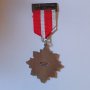 Медал Германия -Шеуерн 1971 година, снимка 2