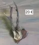 рога на сръндак, снимка 3