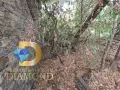 Стара къща с парцел в село Спасово, общ. Чирпан, снимка 6