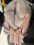 Дамски палта от кашмир, алпака и естествен косъм от лисица, снимка 1 - Палта, манта - 38575414