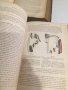 Човешка Анатомия том 2 и 3/1895-1897г./на френски, снимка 5