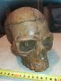 масивен череп 20см 1003210837, снимка 2