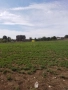 Супер атрактивна земя село Яребичнa 3 430kв м, снимка 4