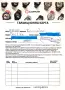 Продавам COROS Pace 3, снимка 2