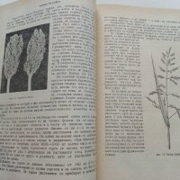 Фуражно производство - К.Павлов,Я.Якимова - 1960 г., снимка 7 - Специализирана литература - 30433979