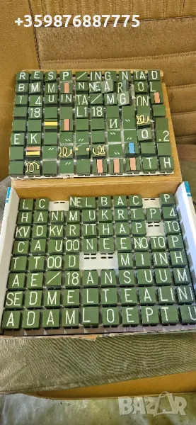 Японски бутони павец чаира Sanyu вец , снимка 1