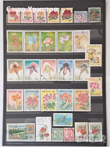 Пощенски марки тема ”Растения”., снимка 7 - Филателия - 49390160