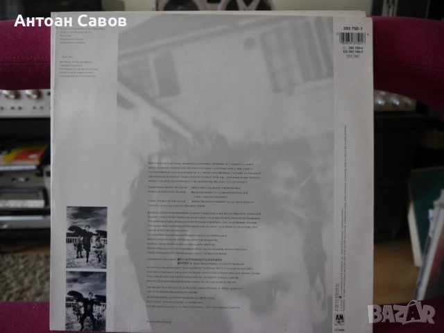 Sting, снимка 2 - Грамофонни плочи - 54329442