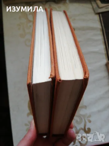 Чудомир - Съчинения в три тома :Том 1 и Том 2 Разкази и фейлетони, снимка 3 - Българска литература - 48980622