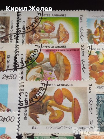 Пощенски марки смесени серий РИБИ,ГЪБИ редки за КОЛЕКЦИЯ 33346, снимка 8 - Филателия - 40422601