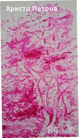 ГРАФИКА ЦВЕТНА - ВИТОША, БГ АВТОР, снимка 3 - Картини - 35157329