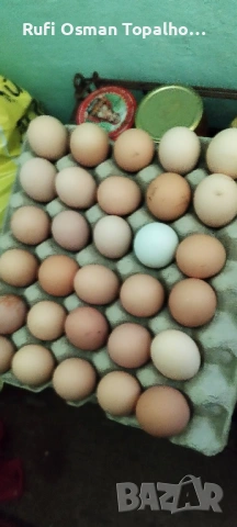 продавам пресни домашни яйца