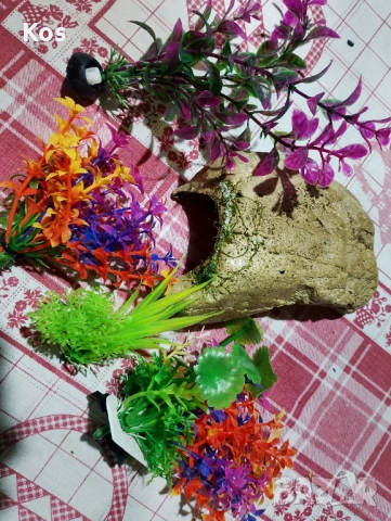 Аквариум комплект , снимка 6 - Аквариуми - 53223414