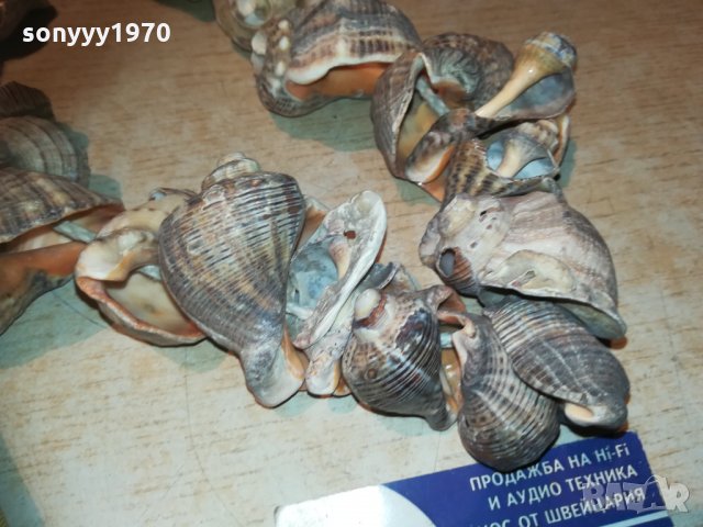 гердан от рапани 2811202032, снимка 5 - Колекции - 30944213