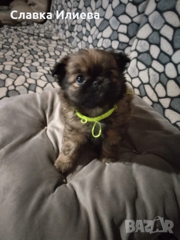 Малка ,сладка принцеса