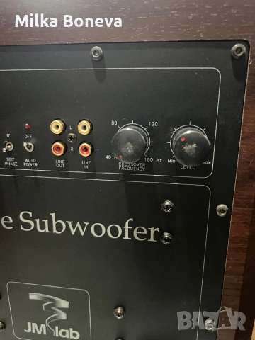 Focal JMLab SW A25, снимка 11 - Тонколони - 54022802