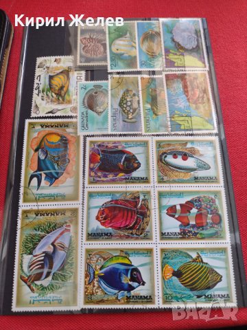 Пощенски марки смесени серия ЕКЗОТИЧНИ РИБИ много красиви за КОЛЕКЦИЯ 37888 , снимка 12 - Филателия - 40455166