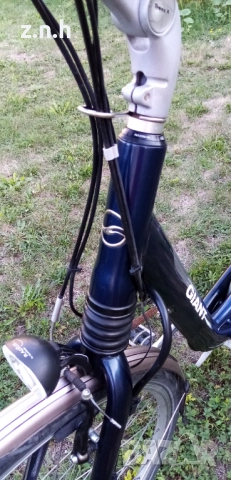 Електрически велосипед  Giant, снимка 5 - Велосипеди - 51649675