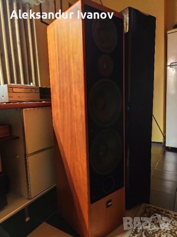 Canton Ergo SC-L (cherry), снимка 4 - Тонколони - 52642387