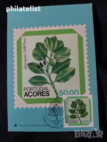 Азорски острови 1981 - Карта Максимум