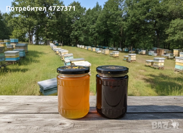Натурален домашен и пчелен мед - директно от пчелар, снимка 2 - За пчели - 53339762