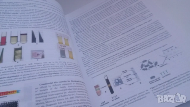 Микробиология - Manual for practical exercises in medical microbiology Part II - Гергова, 3-то изд., снимка 6 - Учебници, учебни тетрадки - 54084480