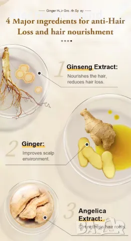 Спрей масло за бърз растеж на косата с джинджифил PURC за лечение и против косопад 30 ml, снимка 7 - Продукти за коса - 48267955