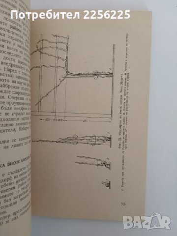 ЛОТ Лозарство, снимка 3 - Специализирана литература - 51325237