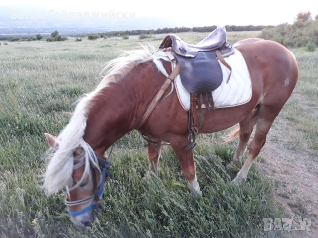 Продавам две  седла, снимка 7 - Други стоки за животни - 52914856