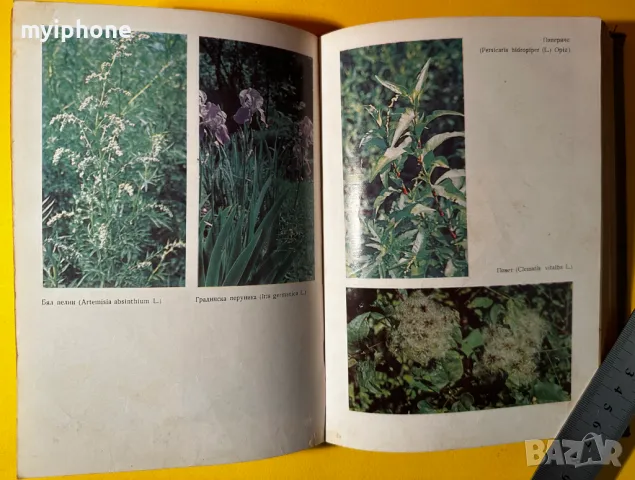 Стара Книга Билките в България и Използването им Иван Исаев, снимка 9 - Специализирана литература - 49430130
