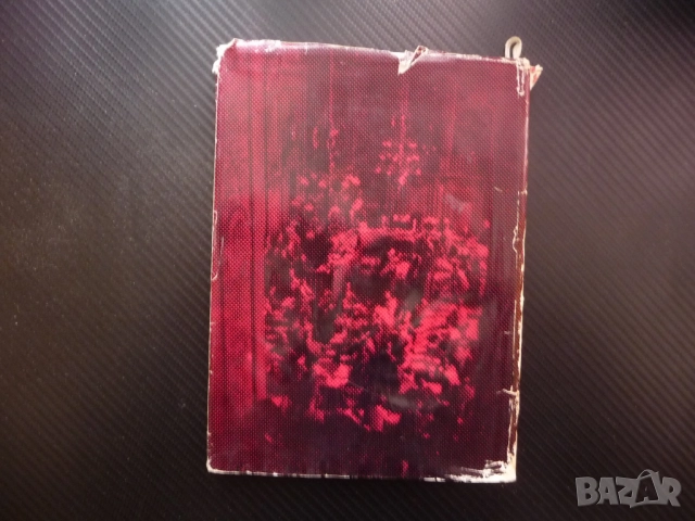 Лайпцигският процес и българското антифашистко движение Недю Недев Георги Димитров Райхстага пожар з, снимка 4 - Други - 52246782