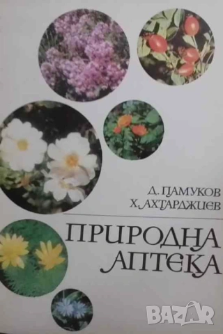 Природна аптека Димитър Памуков, Христо Ахтарджиев