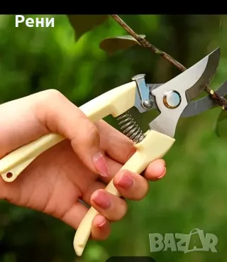 Овощарска, лозарска ножица