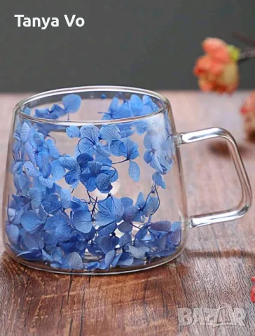 Стъклена Термо Чаша с Двойно Дъно и Естествени Сухи Цветя 