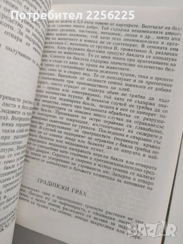 Лечебни свойства на хранителните растения, снимка 7 - Специализирана литература - 54017214