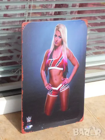Метална табела Алекса Блис кеч спорт културизъм секси борец WWE Първична сила, снимка 2 - Декорация за дома - 47627718