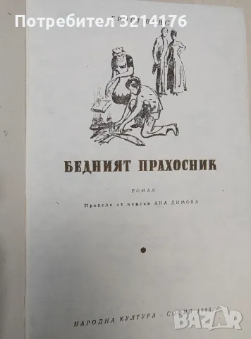 Бедният прахосник - Ернст Вайс , снимка 2 - Художествена литература - 48464748