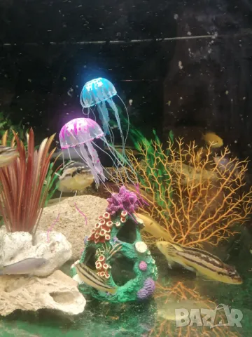 Продавам изкуствени медузи за аквариум