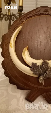 Красив немски трофей диво прасе. Не използван. Резбована трофейна поставка. Документ., снимка 4 - Други ценни предмети - 44483733