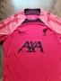 Nike Liverpool FC 22/23 Strike Elite - МЪЖКА ФУТБОЛНА ТЕНИСКА М, снимка 4