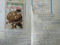 Νέα μαγειρική - ζαχαροπλαστική Кαι εγκυκλοπαίδεια της κουζίνας Χρύσα Παραδείση 1984 г., снимка 3