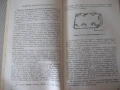 Книга "Сваленик - Петър Камбуров" - 180 стр., снимка 5