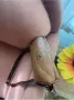 Нова дамска чанта, снимка 2